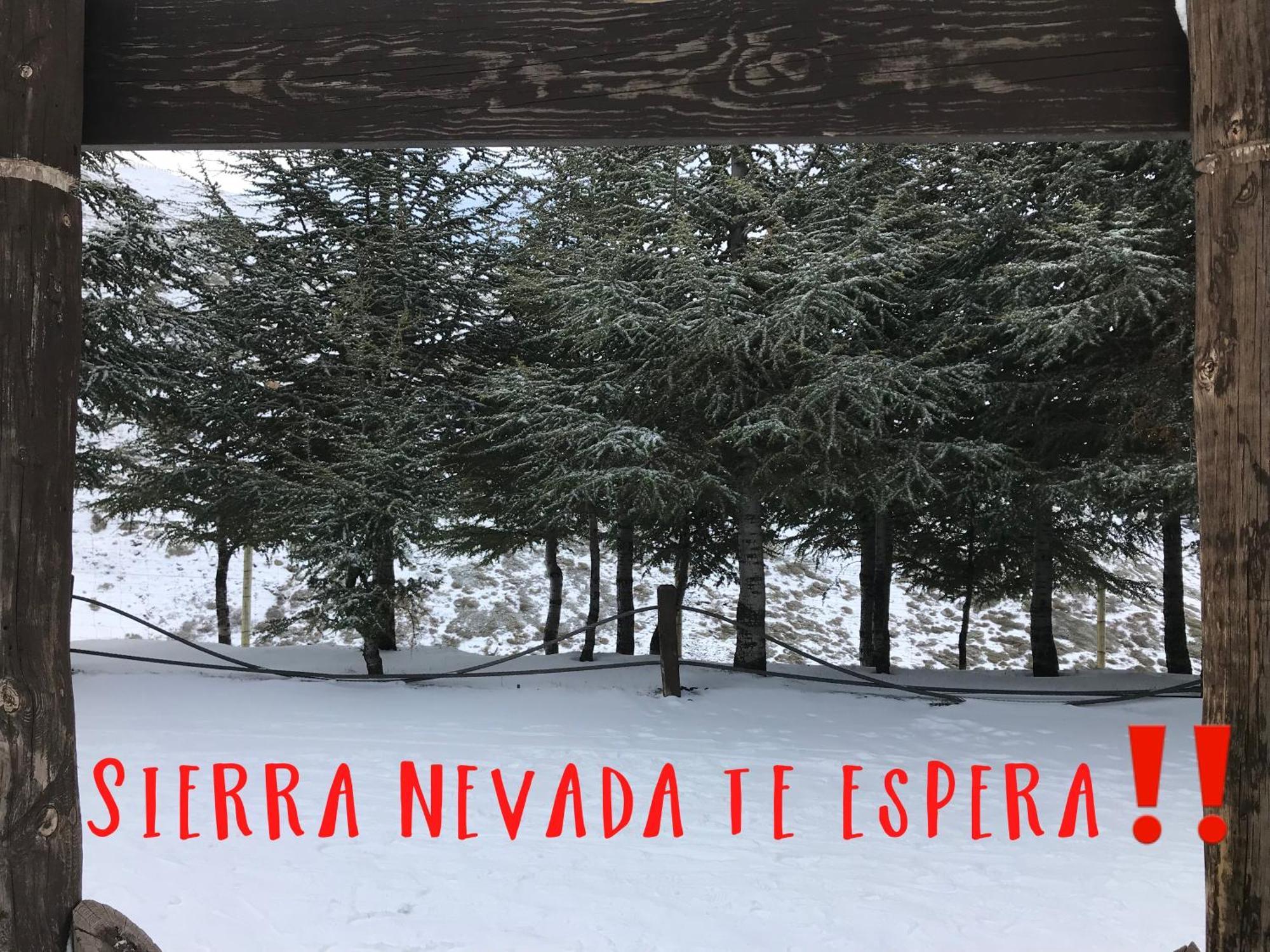 Appartement Inside Plaza Sierra Nevada Extérieur photo